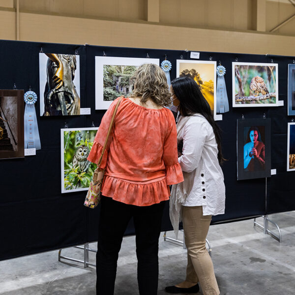 Two women looking at display of photographs